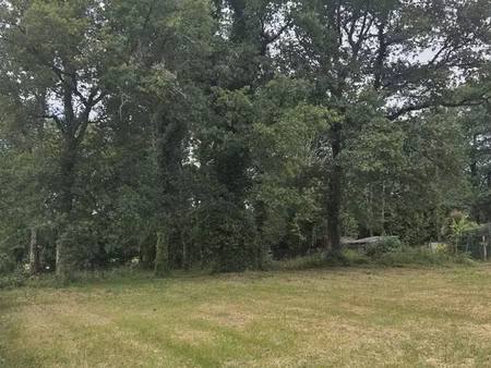 vente terrain à bâtir 2 180 m²