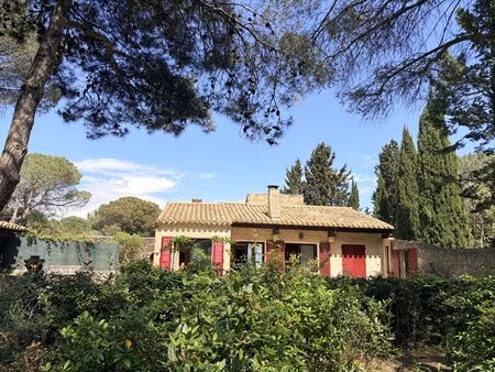 villa de style méditerranéen avec piscine et vaste parc arboré à proximité de carcassonne