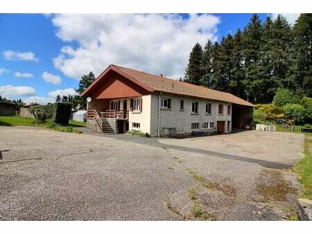achat maison 8 pièces 260m² st pal de mons 43620
