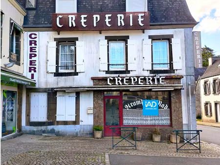 vente maison/villa 17 pièces