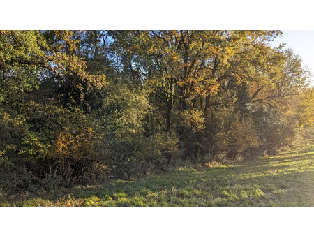 achat terrain 58 891m² serilhac 19190