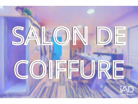 vente commerce 73 m² grisy-les-plâtres (95810)