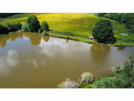 vente terrain 12500 m² magnivray (70300)