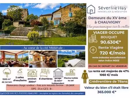 chauvigny- demeure du xvᵉ siècle d'environ 300 m² – vue panoramique exceptionnelle – cœur 