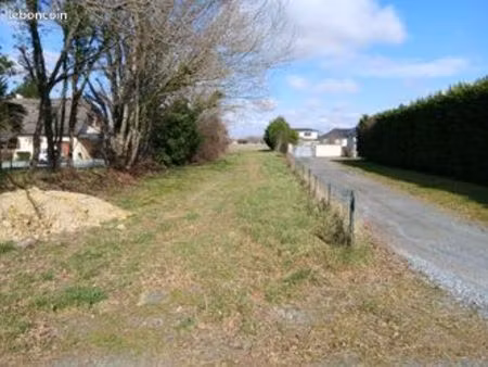 terrain constructible
