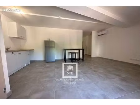 immeuble 85 m² saint-estève