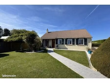 pavillon 5 cm