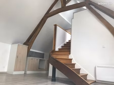 appartement f3 en duplex atypique 47m2