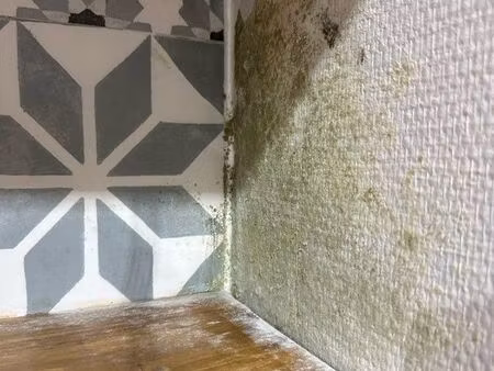 recherche maison à louer