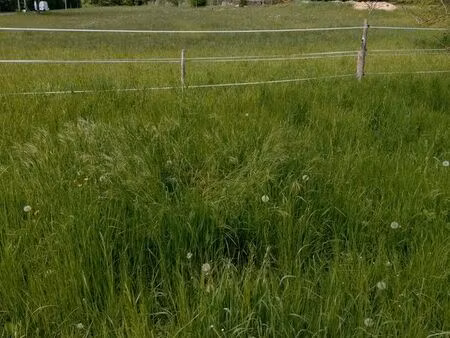 prairie clôturée