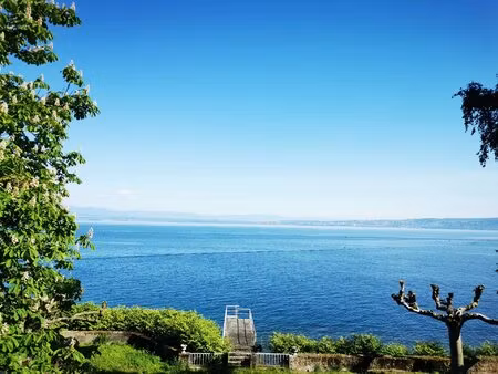 évian-les-bains - propriété pieds dans l'eau avec ponton - terrain de 1 339 m² - 293 m²...