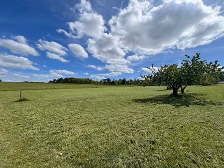 vente terrain  5320.00m²  chissay