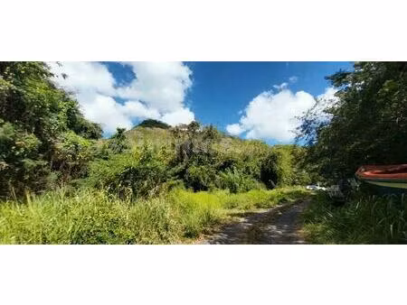 achat terrain 5 000m² les anses d arlet 97217