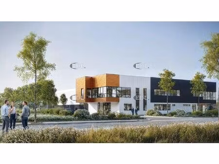 vente entrepôt 27 808 m²