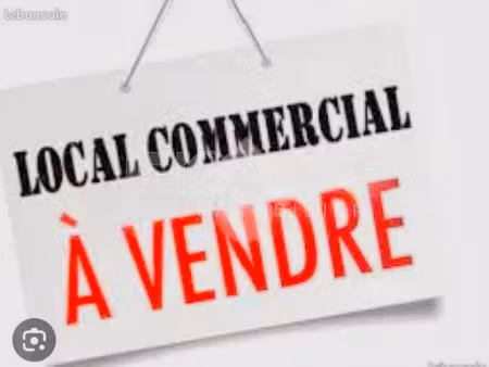 achat local commercial 75m² matoury 97351