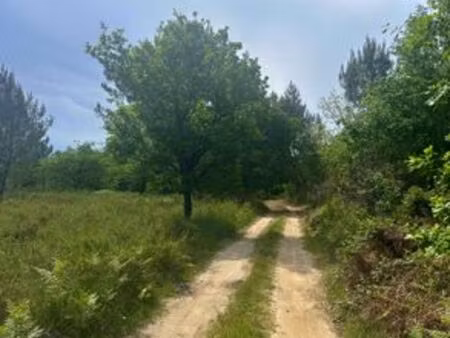 terrain de 30000 m2 - gujan-mestras  france