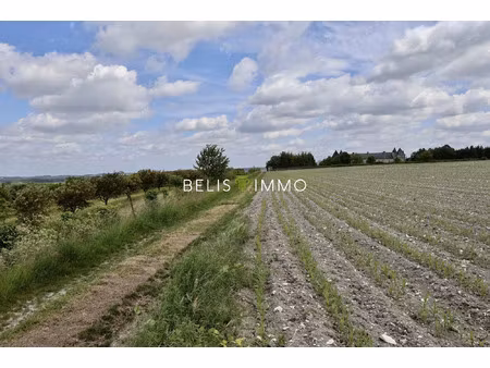 vente terrain 241426 m² faye-la-vineuse (37120)