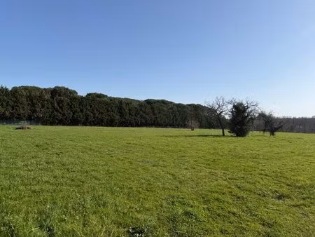 terrain à bâtir à mazères (33210)