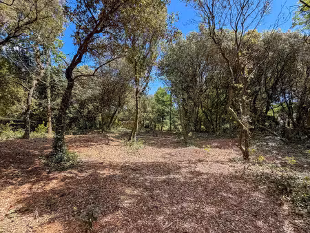 vente terrain saint-palais-sur-mer (17420) - - surface privée