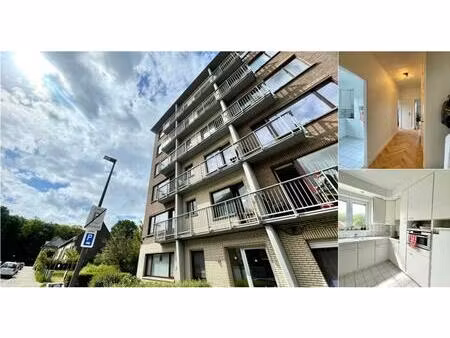 appartement à louer à karel mestdaghplein 13 wilrijk (rbv88871)