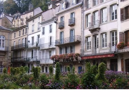type 2 plombieres les bains