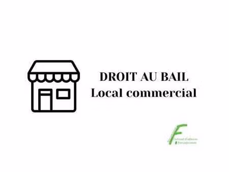 location commerce annecy 74000 120m²