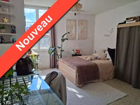 vente appartement t1 à angers centre (49000) : à vendre t1 / 23m² angers centre
