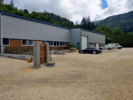 local indust. / activites nantua - 1100 m2