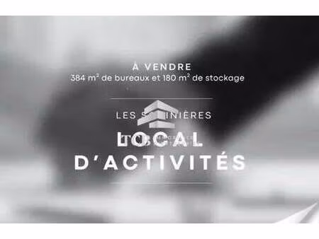 vente local d’activités les sorinieres 44840 564m²