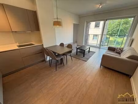 appartement avec terrasse  parking et cave