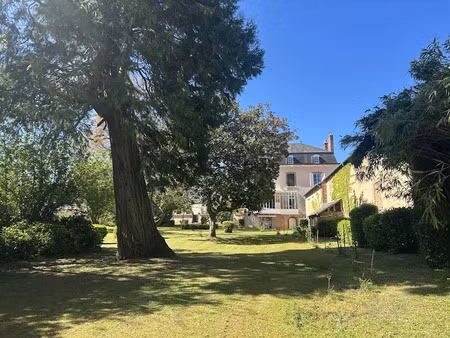 vente maison 10 pièces 353 m² à aubigny-sur-nère (18700)  677 000 €