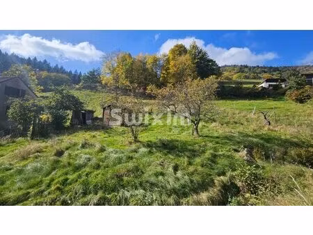 terrain à vendre – ribeauvillé  quartier de la grande verrerie