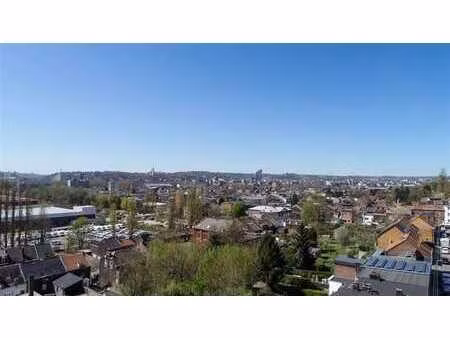 appartement 1 chambre avec deux balcons offrant une vue impr