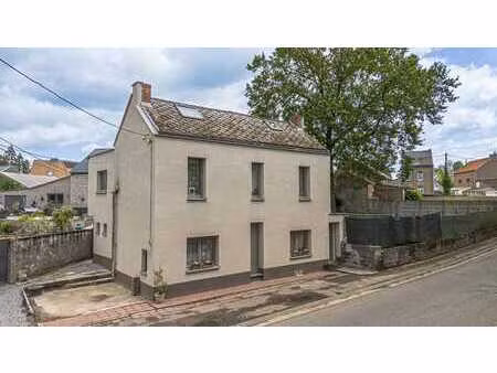 bonne maison rénovée 3 chambres avec terrasse et jardin
