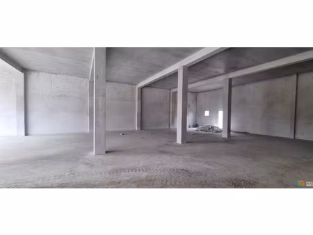 location commerce 1 pièce 300 m² à sainte-suzanne (97441)