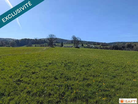 vente terrain 7350 m² foncine-le-bas (39520)