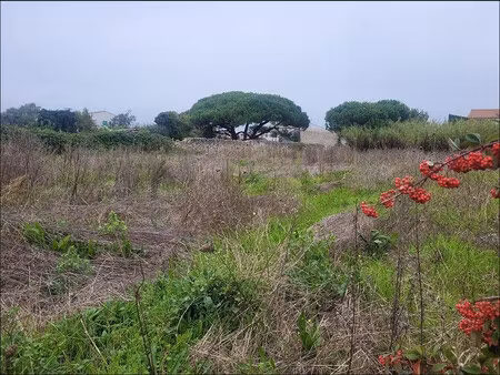 vente terrain
