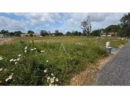 vente terrain au fenouiller (85800) : à vendre / 363m² le fenouiller