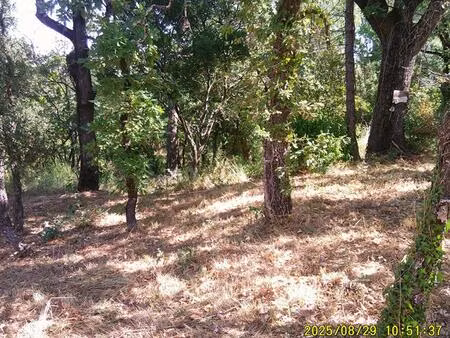 vente terrain 1200 m² les mayons (83340)