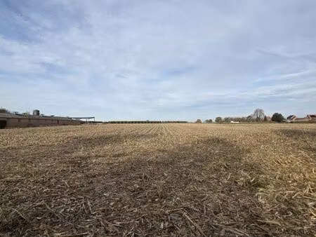 terrain à vendre à herk-de-stad € 139.500 (lo7m3) - govimmo | zimmo