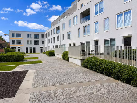appartement à louer à oudenaarde € 795 (lo8cn) - dmg vastgoed | zimmo