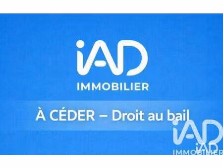 iad france michel chauveau