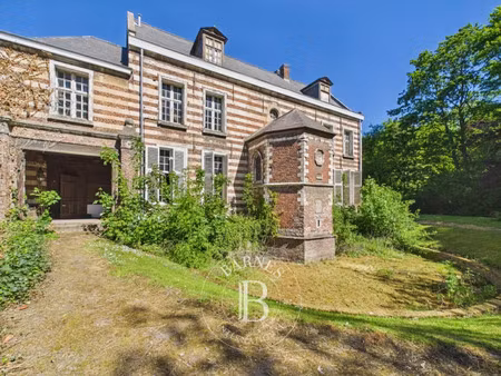 château à vendre dans le quartier kuhlmann