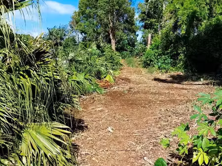 terrain 1356 m² st joseph 370 000