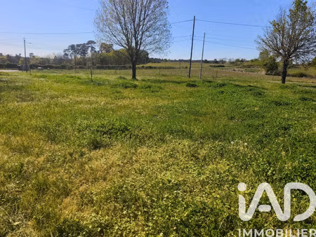 vente terrain 1237 m² neuvicq (17270)