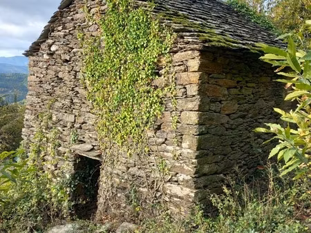 terrain à vendre avec ruine saint etienne vallee francaise (48)