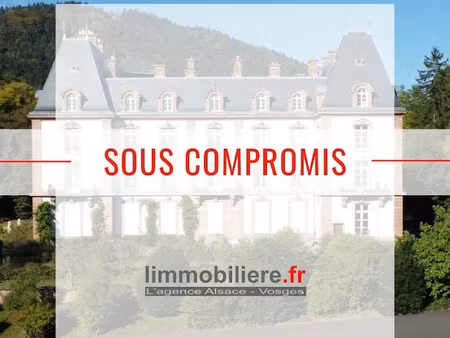 vente appartement 8 pièces 321.65 m² à saint-die-des-vosges (88100)  559 000 €