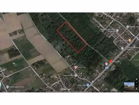 grand terrain boisé de 2 47 ha à vendre à puurs