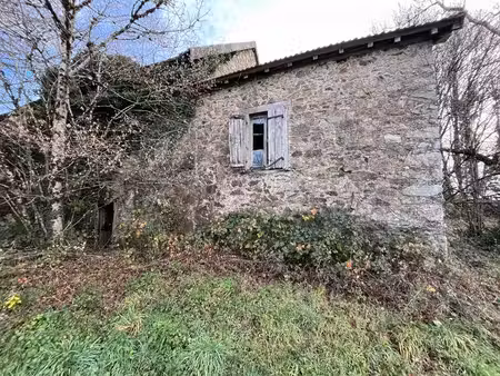 maison en pierre de 2 pièces principales