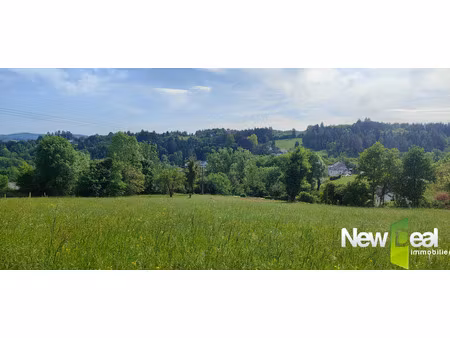 vente terrain 2500 m² tulle (19000)